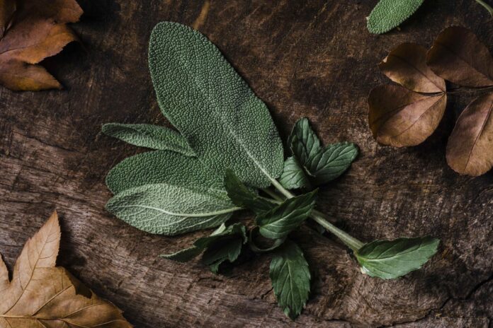 top-view-leaves-cutting-board